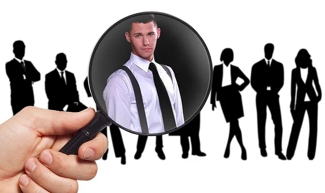 consultant it ou dsi